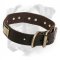Superb Leather Collar with Massive Brass Plates for Boxer
