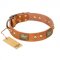 "Saucy Nature" FDT Artisan Tan Leather Boxer Collar with Old Bronze Look Plates and Skulls