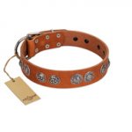 "Woofy Majesty" FDT Artisan Tan Leather Boxer Collar with Round Silver-like Plates
