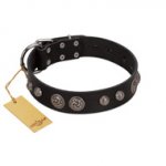 "Tricky Ricky" FDT Artisan Black Leather Boxer Collar Adorned with Silver-Like Conchos