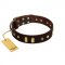 "Blinking Illusion" FDT Artisan Brown Leather Boxer Collar with Old Bronze-like Studs and Plates