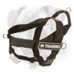 Any Activity and Any Weather Light Weight Boxer Harness with ID Patches
