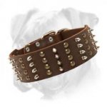 Exclusive Extra Wide Leather Boxer Collar with 4 Rows of Spikes and Studs