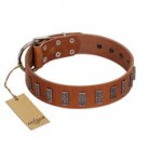 "Silver Century" Fashionable FDT Artisan Tan Leather Boxer Collar with Silver-Like Plates