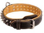 Royal Decorated Nappa Padded Leather Collar for Boxer