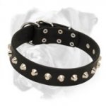 Heavy-Duty Leather Boxer Collar Buckle for Dog Training Walking