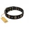Pirate's Spell' FDT Artisan Black Leather Boxer Collar with Engraved Studs and Medallions
