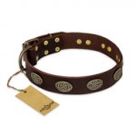 "Chocolate kiss" FDT Artisan Leather Boxer Collar with Old Bronze Look Oval Plates