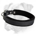 Leather Collar with Thick Soft Padding for Boxer