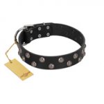 "Power-Flower" FDT Artisan Black Leather Boxer Collar with Two Rows of Silver-like Studs with Engraved Flowers