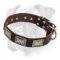 Designer Leather Boxer Collar with Brass Plates