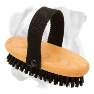 Comfy Boxer Brush for Everyday Grooming 'Brush & Go'