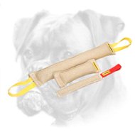 Excellent Set of Bite Tugs for Training Boxer