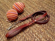Handcrafted Leather Dog Leash for Boxer