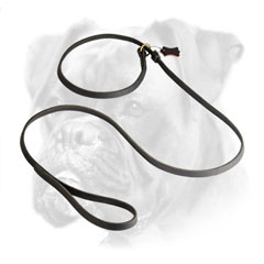 Leather Slip Lead 6 FT on 1/2'' for Boxer