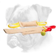 Boxer Puppy Training Set for Efficient Training