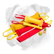 Ultimate Dog Training Set for Boxer