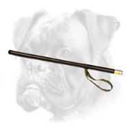 Boxer Stick for Agitation Training with Loop