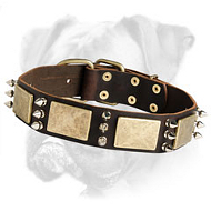 Premium Quality Leather Boxer Collar with Brass Plates and Nickel Spikes