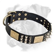 Unique Leather Boxer Collar with Charming Plates, Spikes and Pyramids