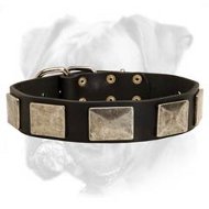Handcrafted Leather Dog Collar With Vintage Massive Plates