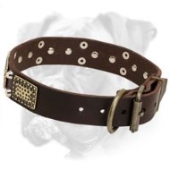Leather Boxer Collar with Brass Plates and Nickel Pyramids