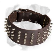 Splendid Leather Boxer collar with 4 Rows of Nickel Spikes