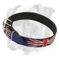 British Style Leather Boxer Collar for Walking