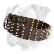 Spiked 2 Inch Wide Leather Boxer Collar