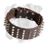 Super Wide Leather Boxer Collar with Nickel Decorations