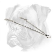 Chain 2 Dog Couplets for Boxer Dog Leashes