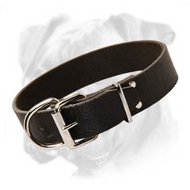 Leather Collar for Boxer's Comfort and Pleasure