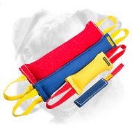 French Linen Boxer Training Set