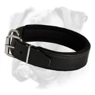 Padded Leather Dog Collar with Thick Felt - C24