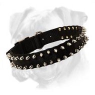 Water Proof Nylon Boxer Collar with Gorgeous Spikes