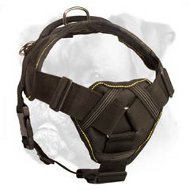 Any Weather Boxer Harness with Comfortable Chest Plate