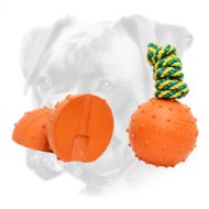 Boxer Rubber Dog Ball Dotted on String for Large Dogs
