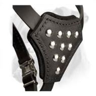 Soft Leather Dog Harness for Boxer Puppy