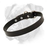 Elegant Leather Collar for Boxer - Incredibly Fashionable and Nice