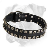 Exclusive Leather Boxer Collar with 2 Rows of Nickel Dotted Studs