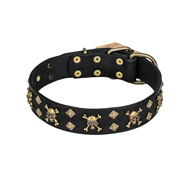 'Jolly Rojer' FDT Artisan Boxer Leather Dog Collar with Pirate Skulls and Studs - 1 1/2 inch (40 mm) wide