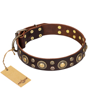 'Flower Melody' Boxer FDT Artisan Brown Leather Collar with Mixed Studs