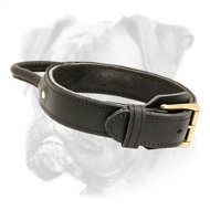 2 Ply Leather Agitation Boxer Collar with Handle