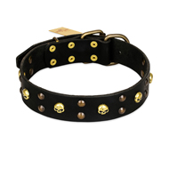 FDT Artisan 'Heavy Metal' Leather Boxer Collar with Skulls and Studs 1 1/2 inch (40 mm)