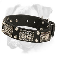 Leather Boxer Collar with Nickel Plates and Pyramids for Everyday Use