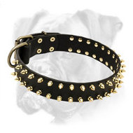 Luxury brass spiked leather Boxer collar