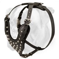 Unbelievably Stylish and Comfortable Leather Harness for Active Boxer