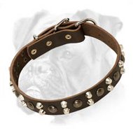 Gorgeous Leather Collar with Pyramids and Studs for Training and Walking Your Boxer