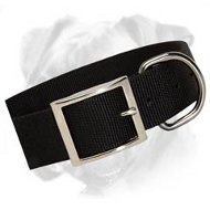Perfect All-Weather Nylon Dog Collar for Boxer