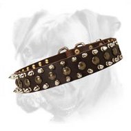 Daily Leather Collar Decorated with Nickel Plated Spikes and Brass Studs for Your Boxer
